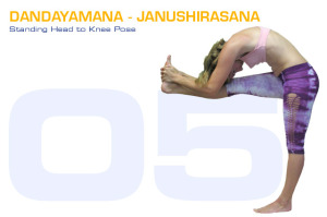 Dandayamana-Janushirasana
