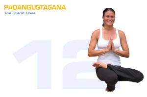 Padangustasana