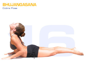 Bhujangasana