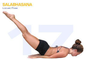 Salbhasana