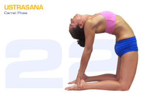 Ustrasana