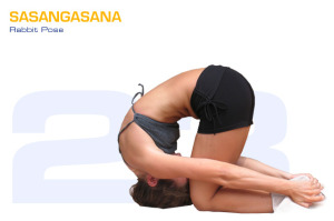 Sasangasana